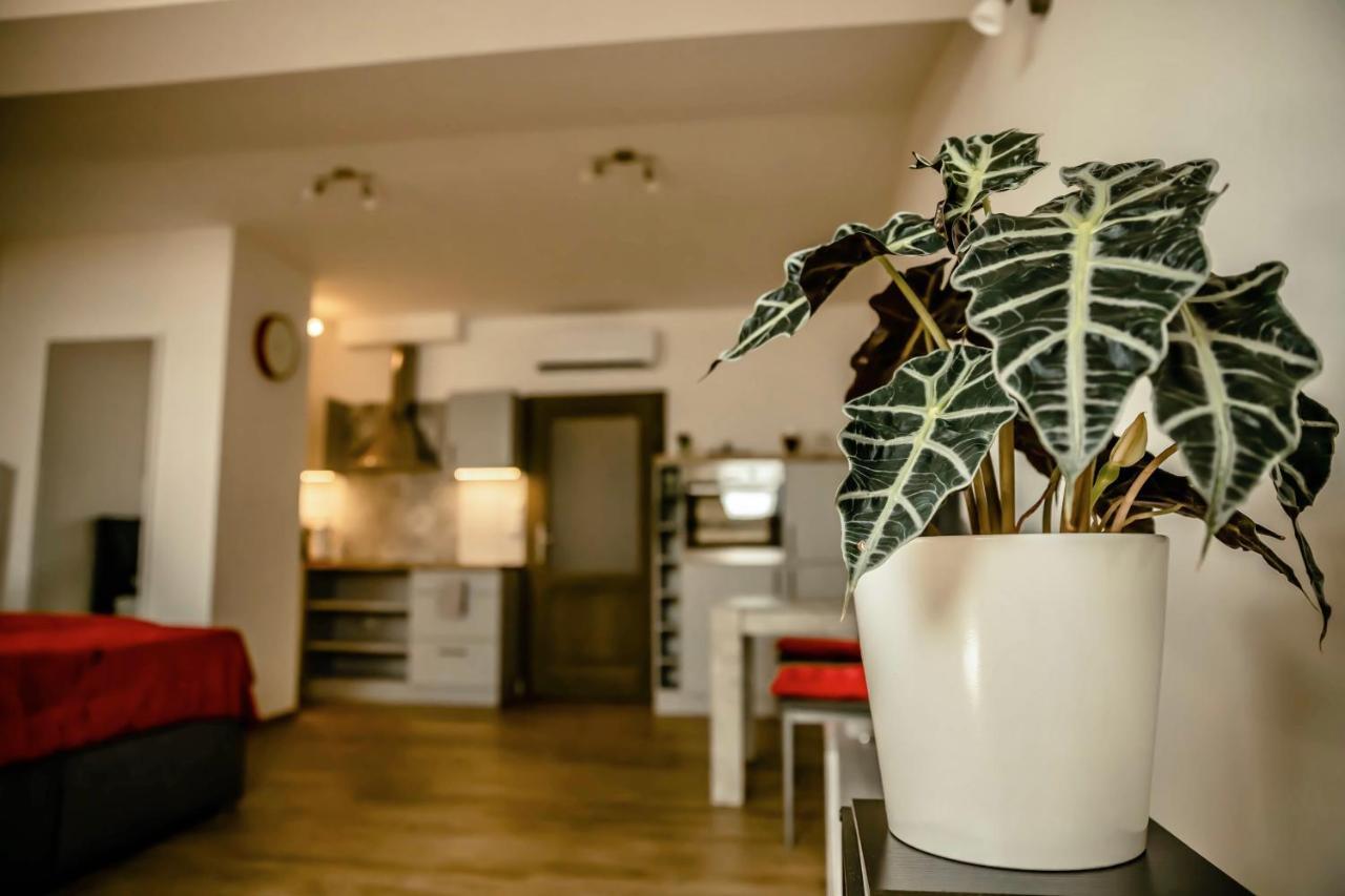 Podkrovni Studio Na Velkem Namesti S Wi-Fi Zdarma Hradec Králové Exterior foto